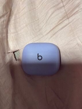 Beats earbuds